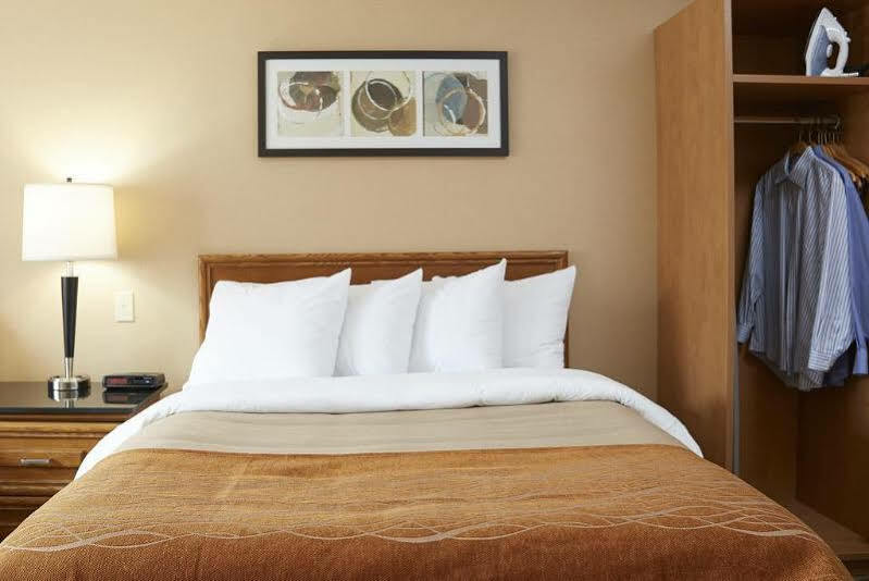 Comfort Inn Pickering Eksteriør bilde